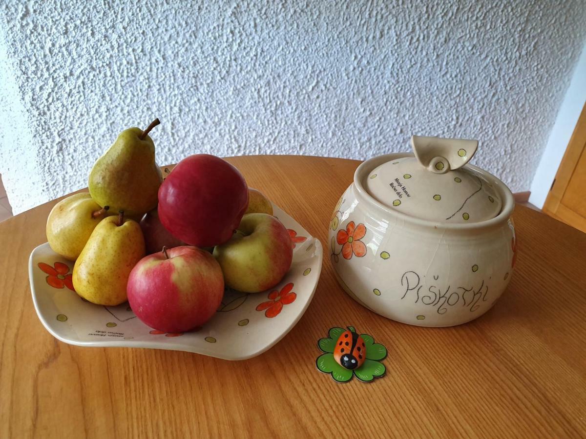 Apartma Maell 1 Most na Soči Dış mekan fotoğraf